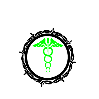 bazinga2087's emblem