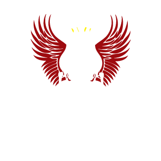 sKinnyPete243's emblem