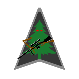 Zomburricane's emblem