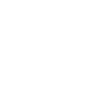 PUB_Zer02's emblem