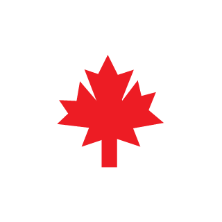 NBRomansword13's emblem