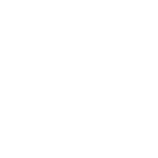 Foxxynho's emblem