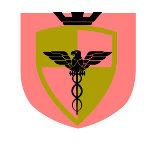 chaoshaze's emblem