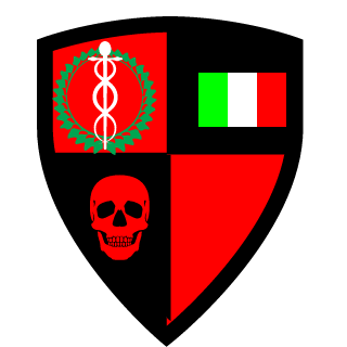 SpikeTheDragon40's emblem