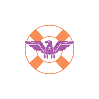11AINES11's emblem