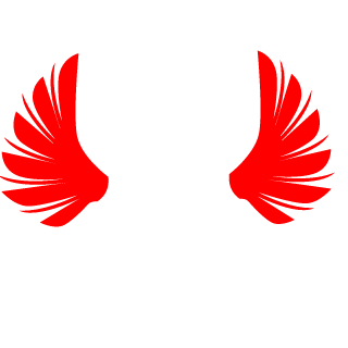 Nowet12's emblem