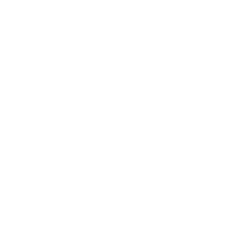 zhangsan's emblem