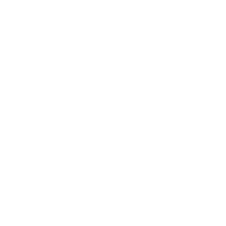 IC3M4N2k4's emblem