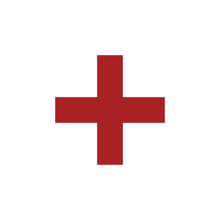 HAVELESSBEMORE's emblem