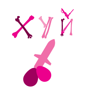 Labak1's emblem