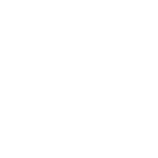 VLDMRL's emblem