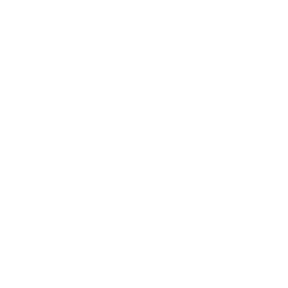DigitaIWarrior's emblem