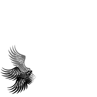 LHBA96's emblem