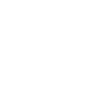 Feingeist_Flash's emblem