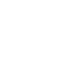 arm9518's emblem