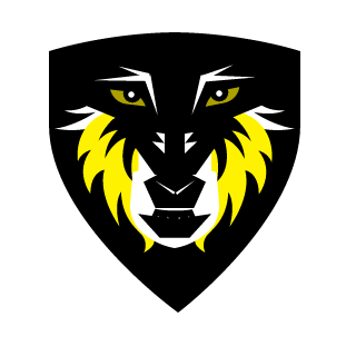 ibrahimalowayyid's emblem