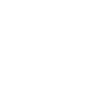 N1kk0's emblem