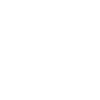 weluisinho's emblem