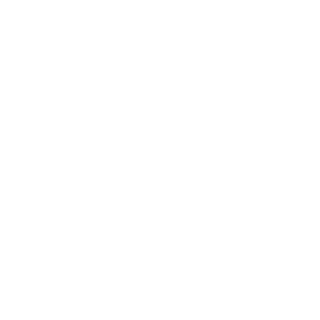 SGT SiDiiNoZo's emblem
