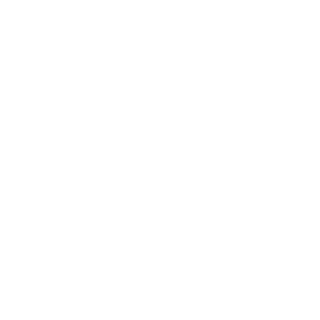 TheForerunner's emblem