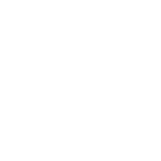 FLAW-muzi1ck's emblem