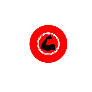 Vladislav9958's emblem