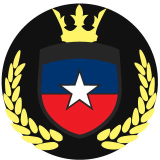 Hanzo_Hasashi_31's emblem