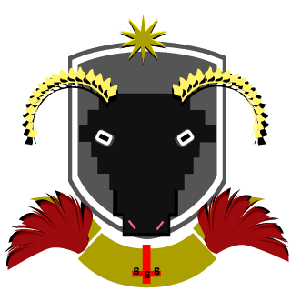 wormholes22's emblem