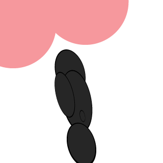 fishpedia2's emblem