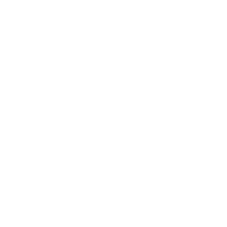 InvalidFrog's emblem