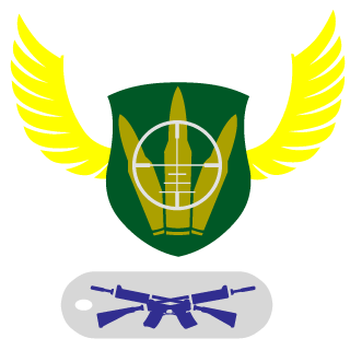 CS_xiaodong's emblem
