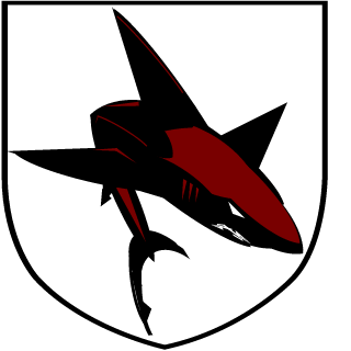 RUSSIAN_VlOLENCE's emblem
