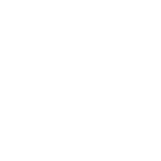SynapseProg's emblem