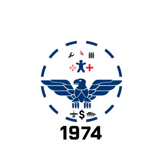 Downsizer_GER's emblem