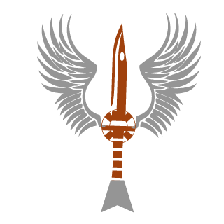 Barizon_BR's emblem