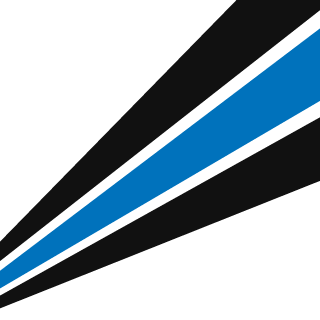 -FlyinG-Rept1Le-'s emblem