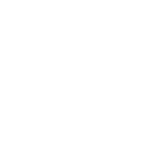 DmitryMax2989's emblem