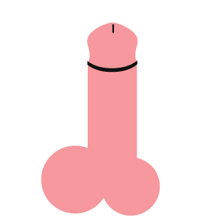 SelectiveExpert's emblem