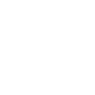 ZZXBoris's emblem