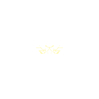 555pavel's emblem