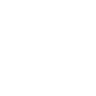 PokeRaptor6067's emblem