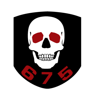 StoneD675's emblem