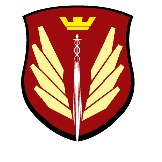 FallenKingZorn's emblem