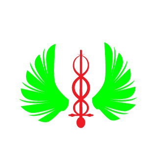TheSir1us's emblem