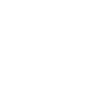 Dampfguru's emblem