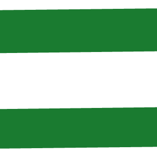 ROBERTO-FLY12's emblem