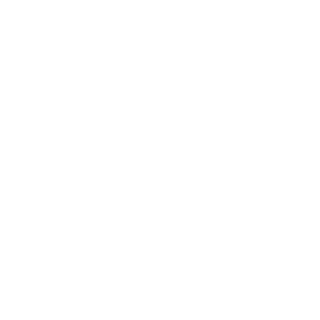 Chronicgaming69's emblem
