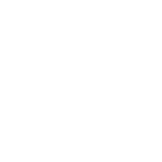 In2ishN's emblem