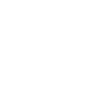 228Levin228's emblem