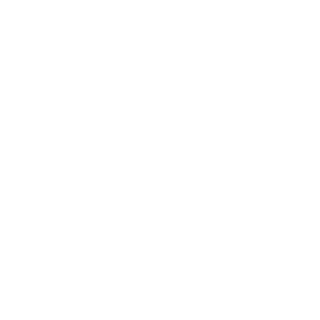 iceeen's emblem
